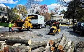 Best Fruit Tree Pruning  in Stow, OH