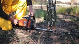 Best Soil Testing and Treatment  in Stow, OH