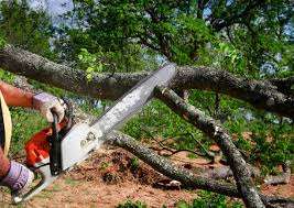 Best Tree Trimming and Pruning  in Stow, OH
