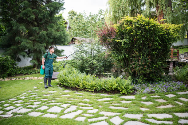 Best Lawn Watering Services  in Stow, OH
