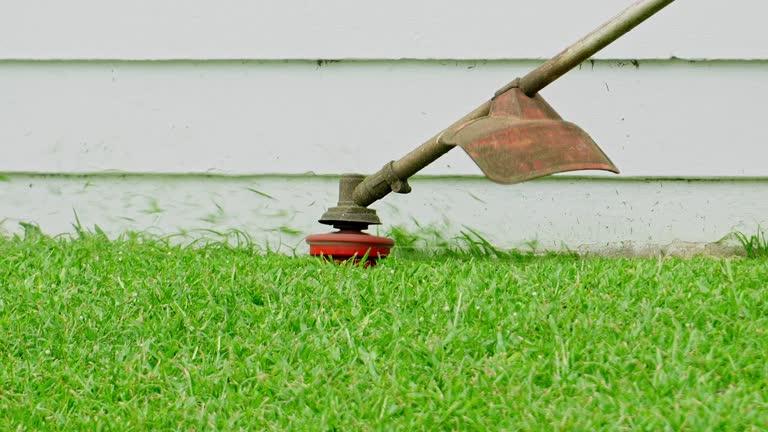 Best Lawn Grading and Leveling  in Stow, OH