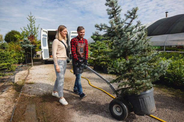 Best Weed Control  in Stow, OH