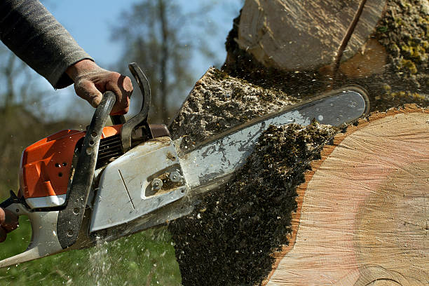 Best Utility Line Clearance  in Stow, OH